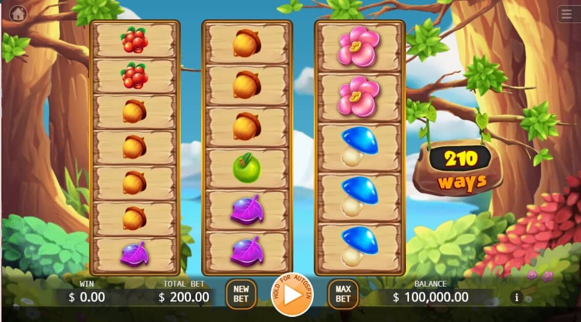 Fortune Feast Fusion Reels KAGaming SLOTXO1234