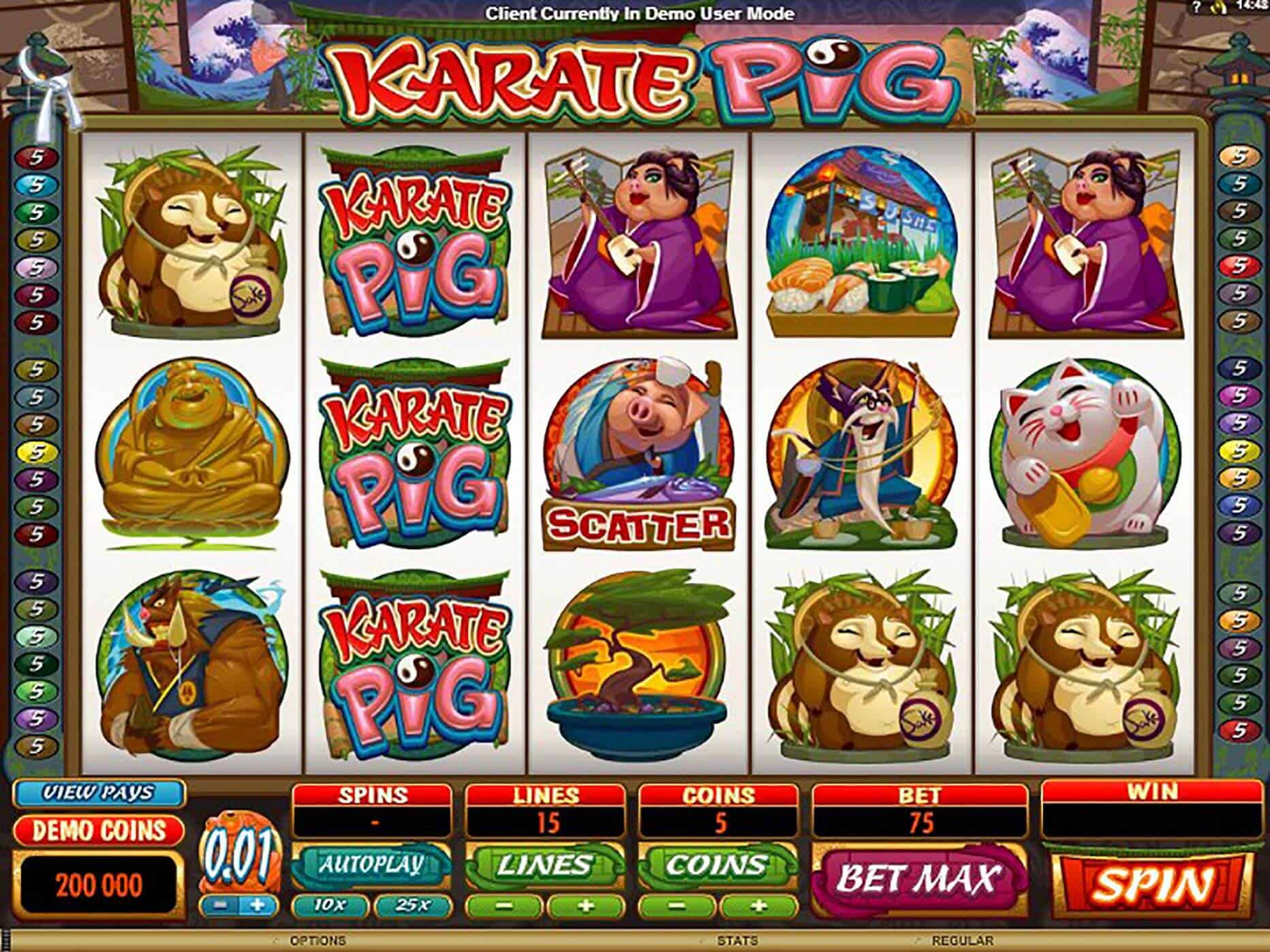 Karate Pig MICROGAMING สล็อต xo