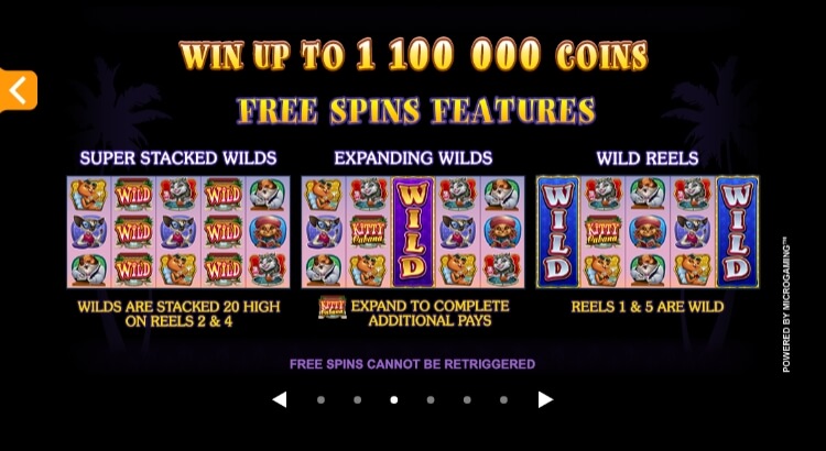 Kitty Cabana MICROGAMING slotxo auto