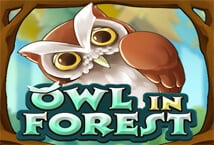Owl In Forest KAGaming slotxo