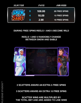 Action Ops Snow & Sable MICROGAMING สล็อต xo เครดิต ฟรี