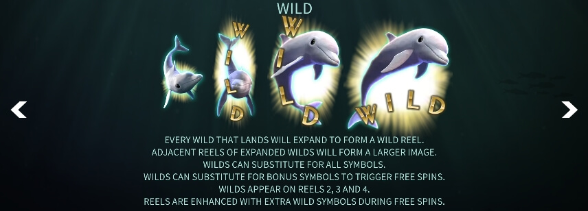 Aquatic Treasures MICROGAMING slotxo auto