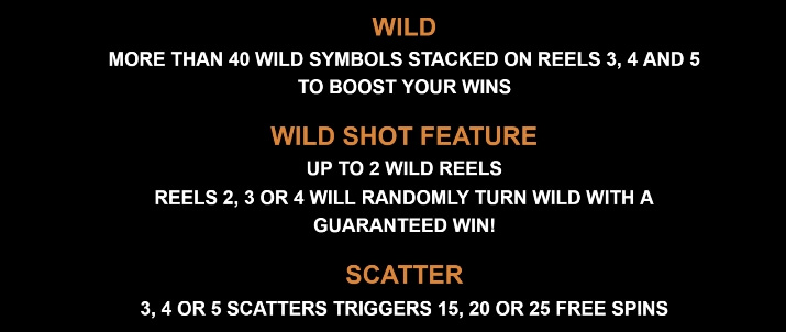 Basketball Star MICROGAMING slotxo168