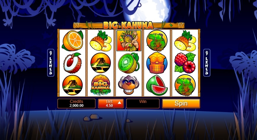 Big Kahuna MICROGAMING สล็อต xo