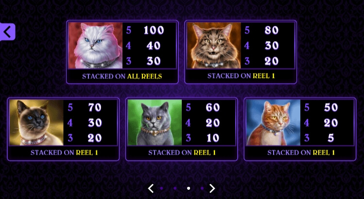 Pretty Kitty MICROGAMING slotxo mobile