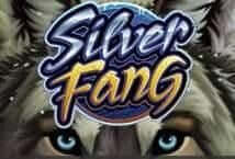 Silver Fang MICROGAMING slotxo 555