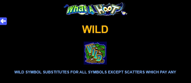What a Hoot MICROGAMING 168slotxo