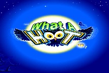 What a Hoot MICROGAMING slotxo