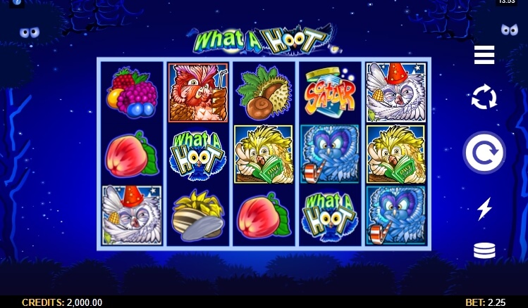 What a Hoot MICROGAMING สล็อต xo