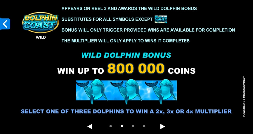 Dolphin Coast MICROGAMING slotxo mobile