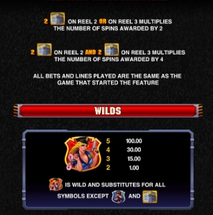 The Heat Is On MICROGAMING slotxo auto