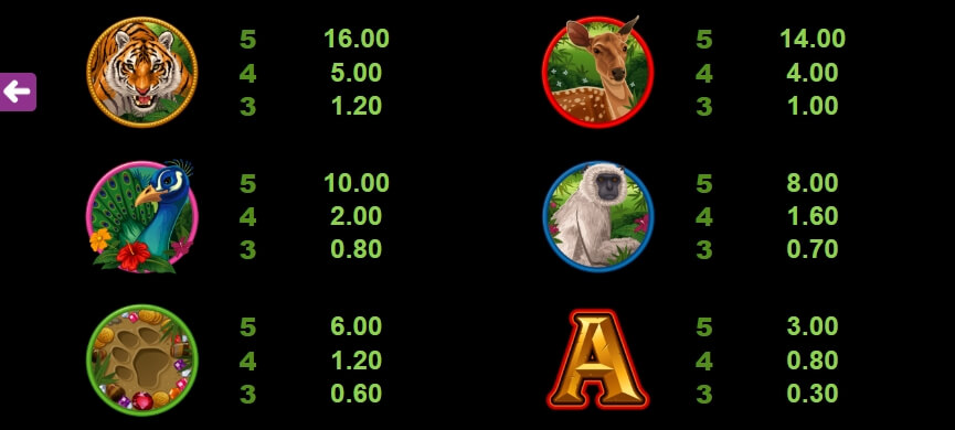 Tiger's Eye MICROGAMING slotxo เล่น ฟรี