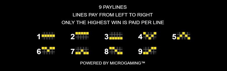 Treasure Palace MICROGAMING slotxo เติม true wallet